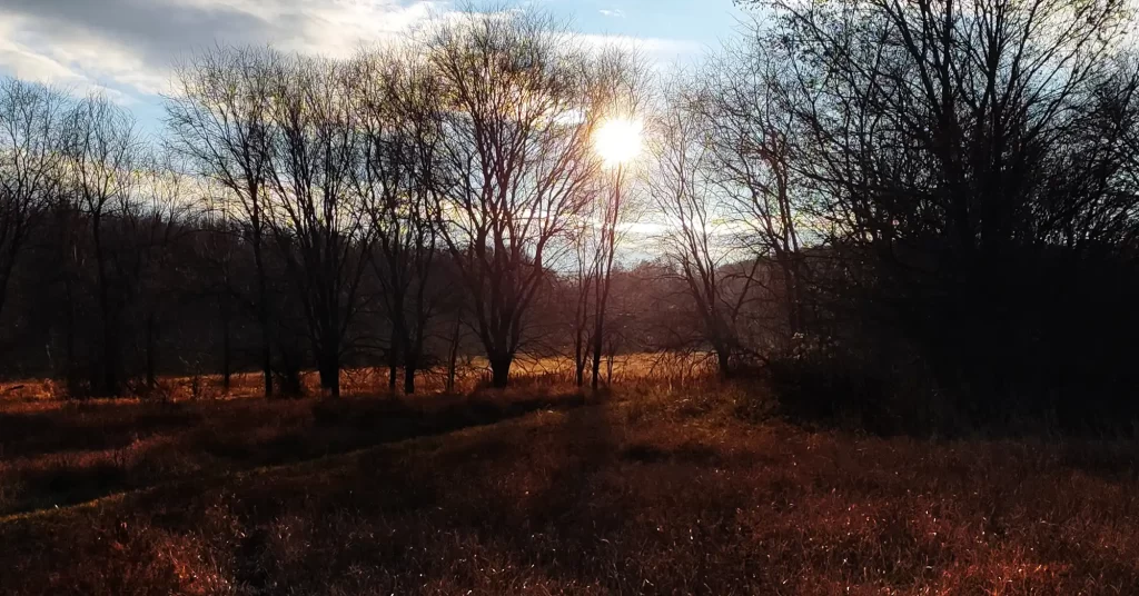 Egynapos zen meditációs gyakorlatok