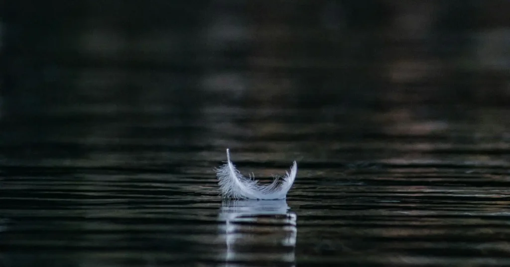 Pihetoll vizen úszik