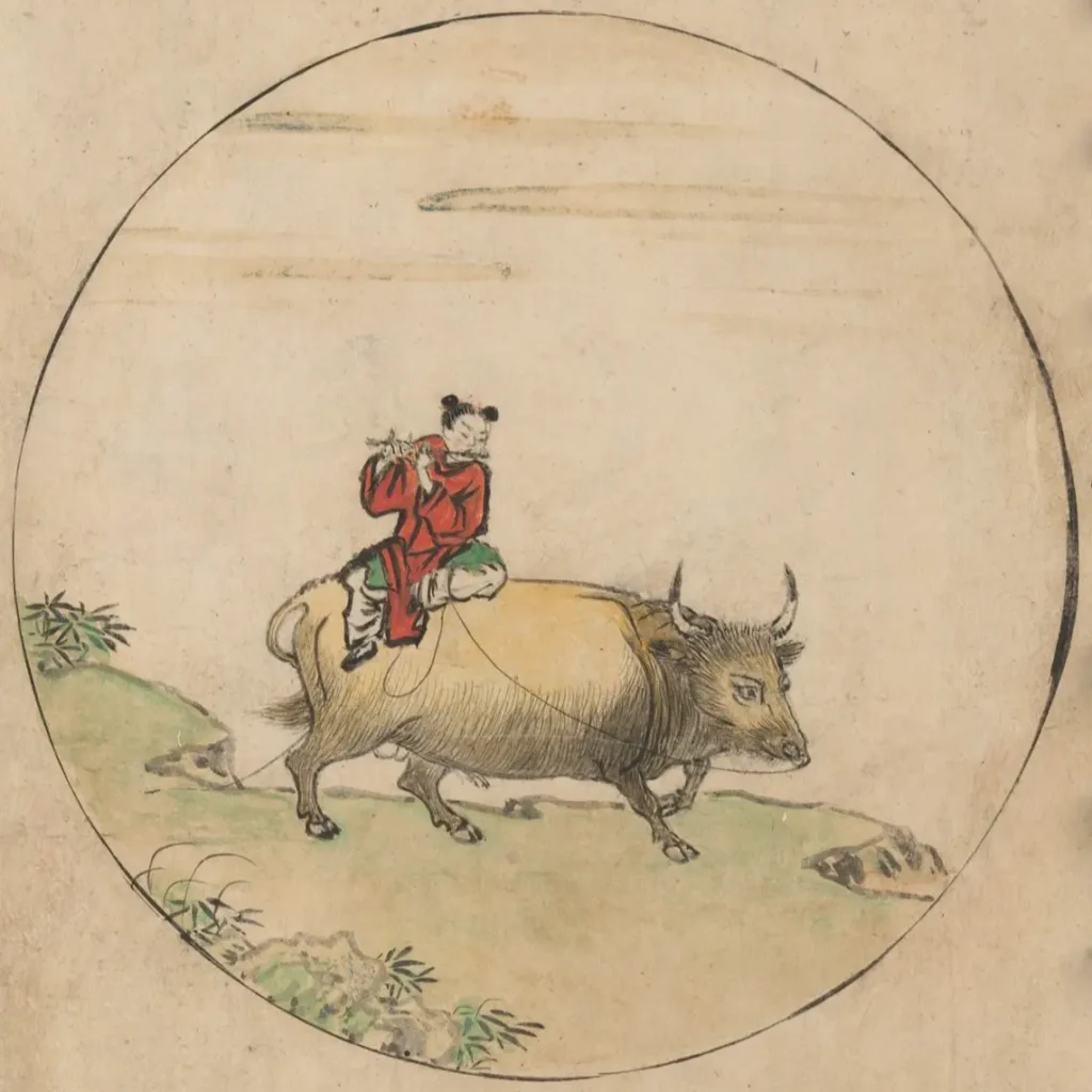 A bika terelése – Hazaút a bika hátán