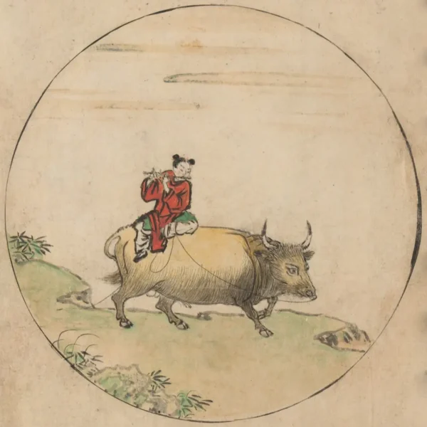 A bika terelése – Hazaút a bika hátán